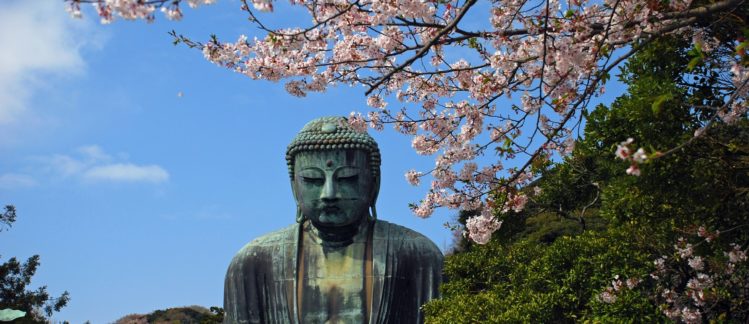 Japan Study Tour