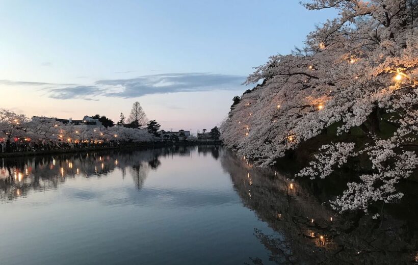 Japan Study Tour